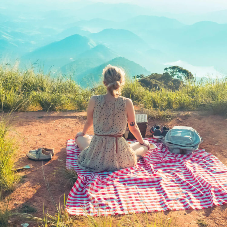 Picnic Time